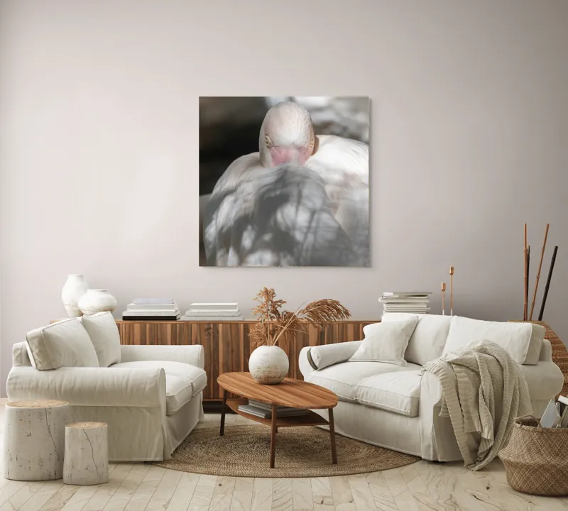 Tablou Canvas, "Pasărea enigmatică în umbra discretă", Pasăre, Albă, Ochi, Blană, Umbră, Detaliu, Textură, Gât, Lumină, Privire, 100 x 100 cm – poza 3