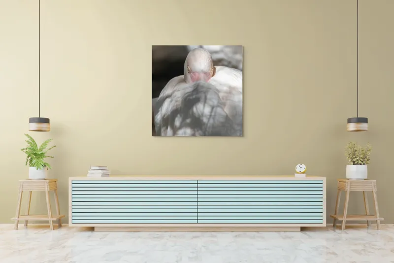 Tablou Canvas, "Pasărea enigmatică în umbra discretă", Pasăre, Albă, Ochi, Blană, Umbră, Detaliu, Textură, Gât, Lumină, Privire, 100 x 100 cm – poza 5