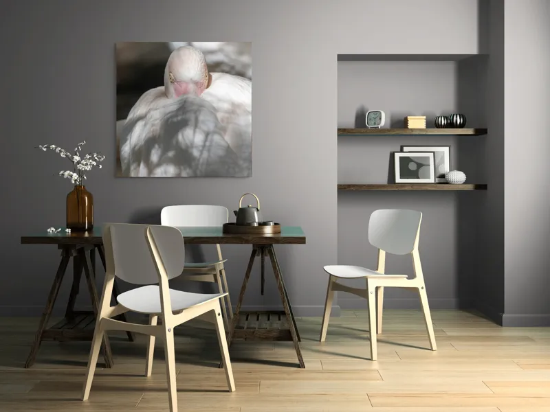 Tablou Canvas, "Pasărea enigmatică în umbra discretă", Pasăre, Albă, Ochi, Blană, Umbră, Detaliu, Textură, Gât, Lumină, Privire, 100 x 100 cm – poza 6