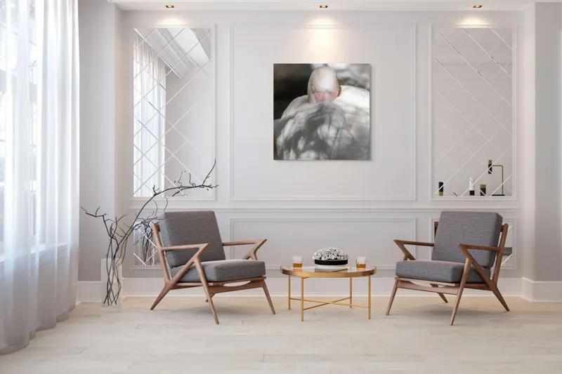Tablou Canvas, "Pasărea enigmatică în umbra discretă", Pasăre, Albă, Ochi, Blană, Umbră, Detaliu, Textură, Gât, Lumină, Privire, 100 x 100 cm – poza 7