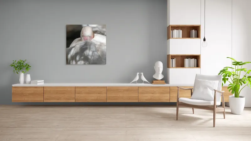 Tablou Canvas, "Pasărea enigmatică în umbra discretă", Pasăre, Albă, Ochi, Blană, Umbră, Detaliu, Textură, Gât, Lumină, Privire, 100 x 100 cm – poza 8