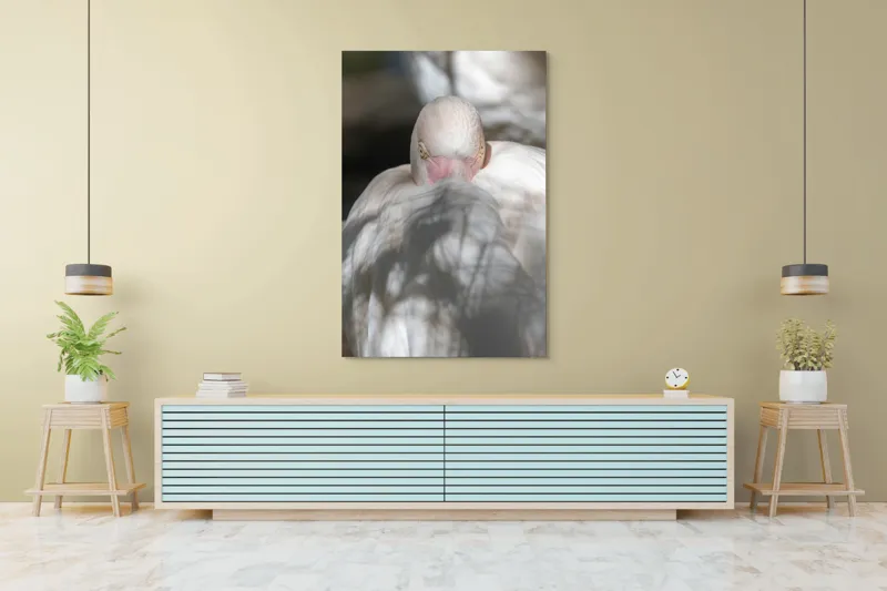 Tablou Canvas, "Pasărea enigmatică în umbra discretă", Pasăre, Albă, Ochi, Blană, Umbră, Detaliu, Textură, Gât, Lumină, Privire, 100 x 150 cm – poza 4