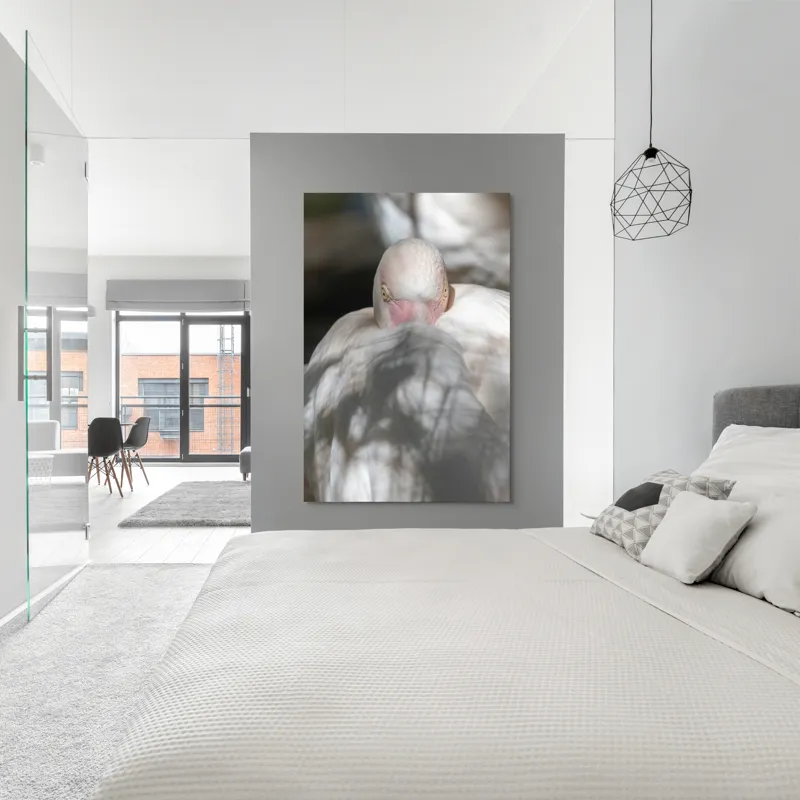Tablou Canvas, "Pasărea enigmatică în umbra discretă", Pasăre, Albă, Ochi, Blană, Umbră, Detaliu, Textură, Gât, Lumină, Privire, 100 x 150 cm – poza 5