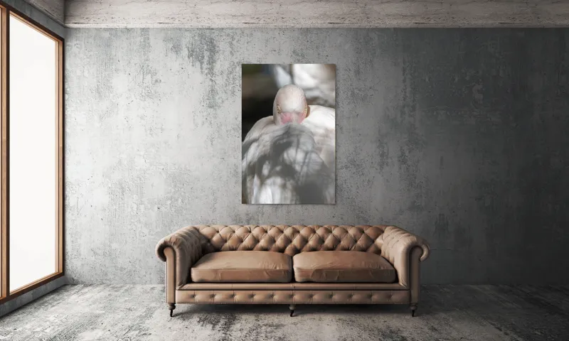 Tablou Canvas, "Pasărea enigmatică în umbra discretă", Pasăre, Albă, Ochi, Blană, Umbră, Detaliu, Textură, Gât, Lumină, Privire, 100 x 150 cm – poza 6