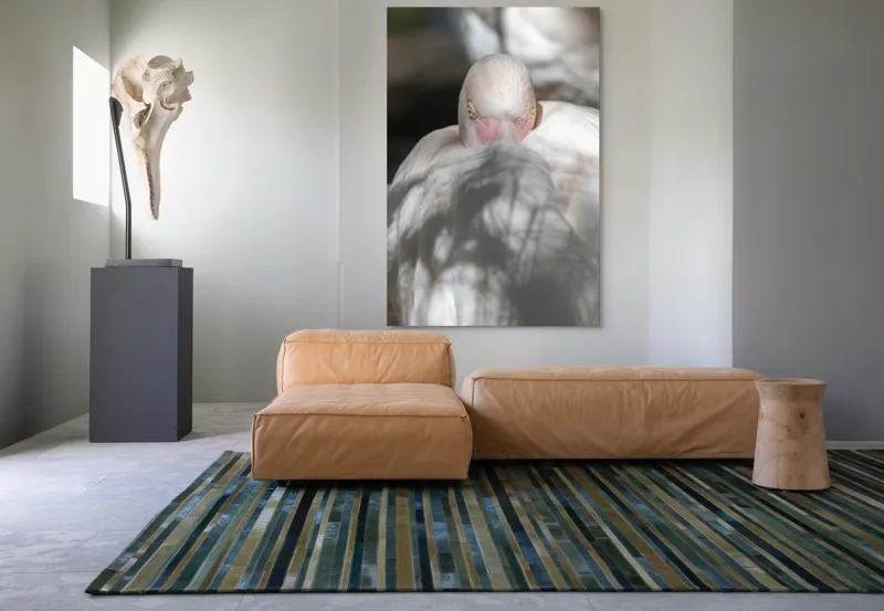 Tablou Canvas, "Pasărea enigmatică în umbra discretă", Pasăre, Albă, Ochi, Blană, Umbră, Detaliu, Textură, Gât, Lumină, Privire, 100 x 150 cm – poza 7