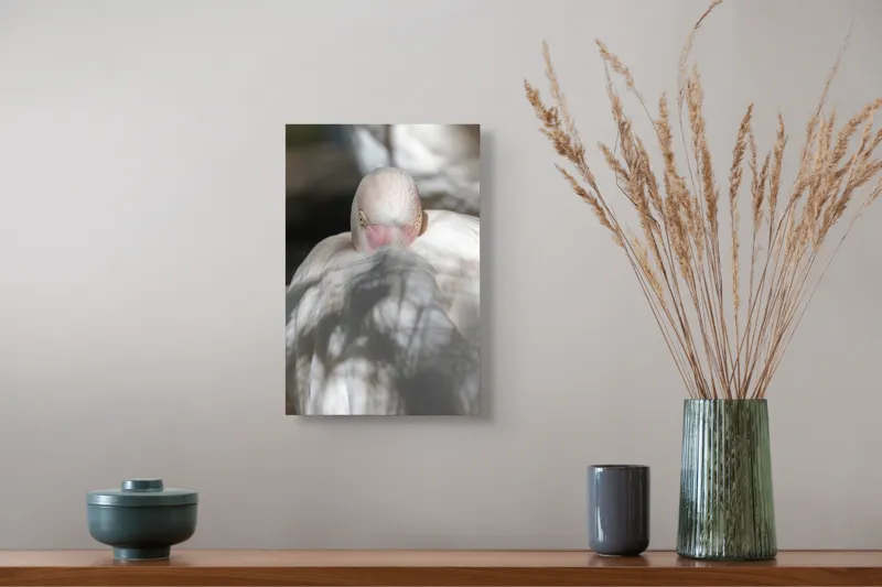 Tablou Canvas, "Pasărea enigmatică în umbra discretă", Pasăre, Albă, Ochi, Blană, Umbră, Detaliu, Textură, Gât, Lumină, Privire, 26 x 39 cm – poza 5