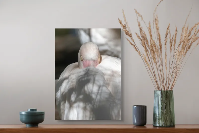 Tablou Canvas, "Pasărea enigmatică în umbra discretă", Pasăre, Albă, Ochi, Blană, Umbră, Detaliu, Textură, Gât, Lumină, Privire, 39 x 54 cm – poza 3