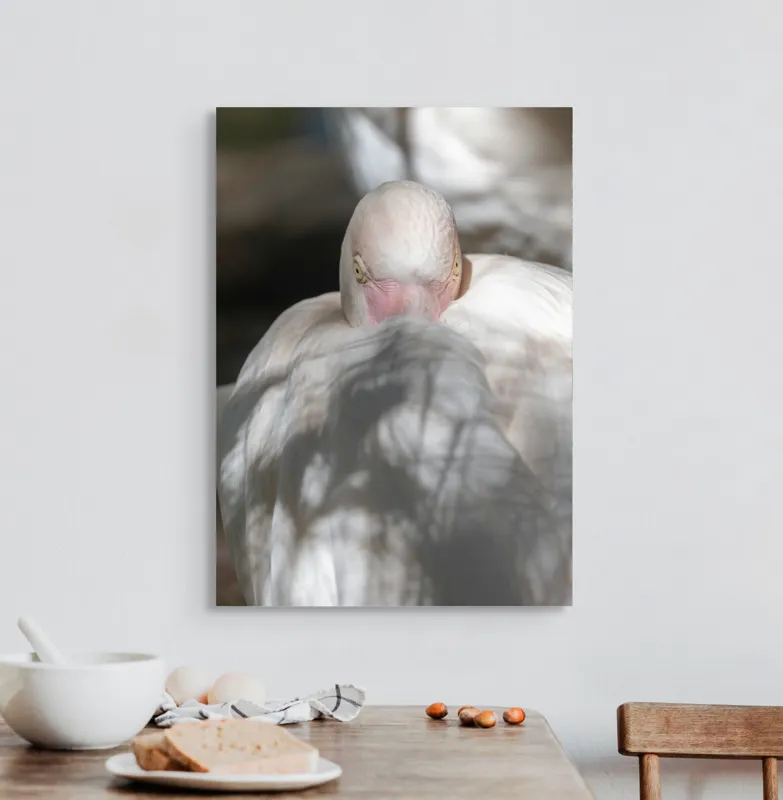 Tablou Canvas, "Pasărea enigmatică în umbra discretă", Pasăre, Albă, Ochi, Blană, Umbră, Detaliu, Textură, Gât, Lumină, Privire, 50 x 70 cm – poza 3