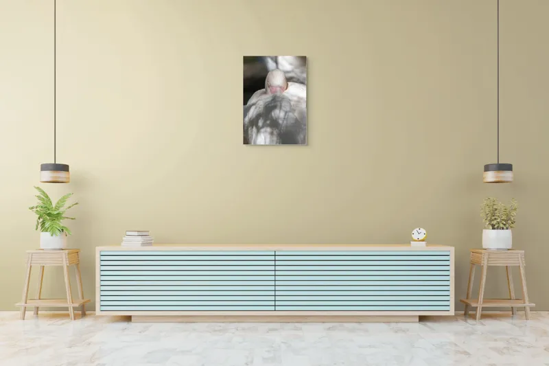 Tablou Canvas, "Pasărea enigmatică în umbra discretă", Pasăre, Albă, Ochi, Blană, Umbră, Detaliu, Textură, Gât, Lumină, Privire, 50 x 70 cm – poza 6
