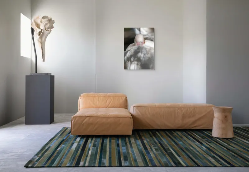 Tablou Canvas, "Pasărea enigmatică în umbra discretă", Pasăre, Albă, Ochi, Blană, Umbră, Detaliu, Textură, Gât, Lumină, Privire, 50 x 70 cm – poza 7