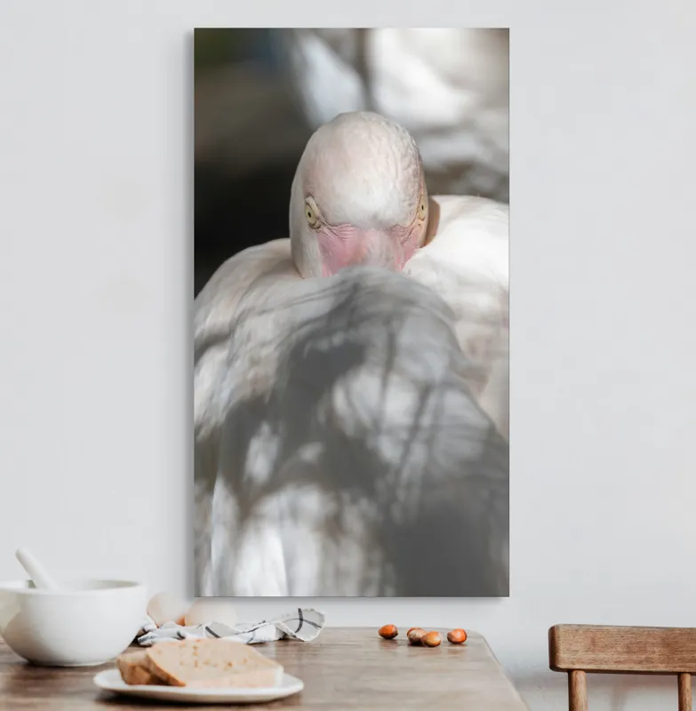 Tablou Canvas, "Pasărea enigmatică în umbra discretă", Pasăre, Albă, Ochi, Blană, Umbră, Detaliu, Textură, Gât, Lumină, Privire, 50 x 90 cm – poza 3