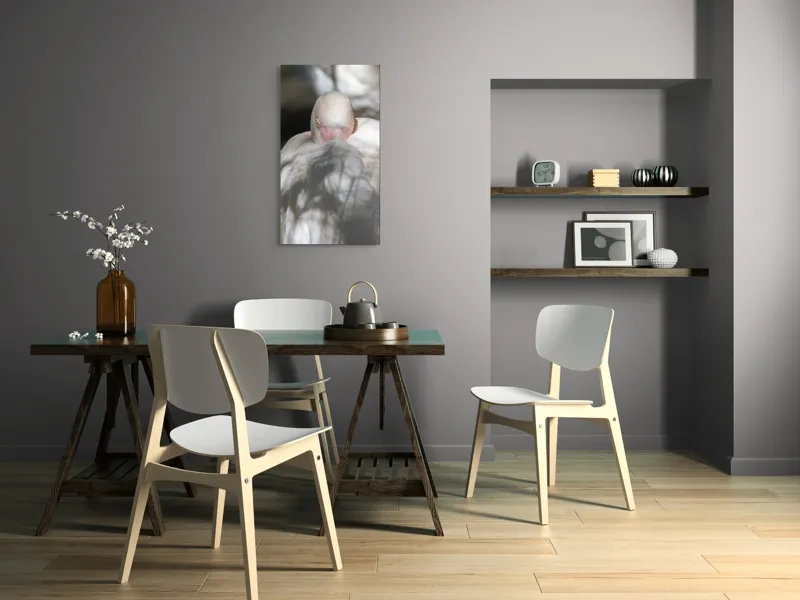 Tablou Canvas, "Pasărea enigmatică în umbra discretă", Pasăre, Albă, Ochi, Blană, Umbră, Detaliu, Textură, Gât, Lumină, Privire, 50 x 90 cm – poza 4