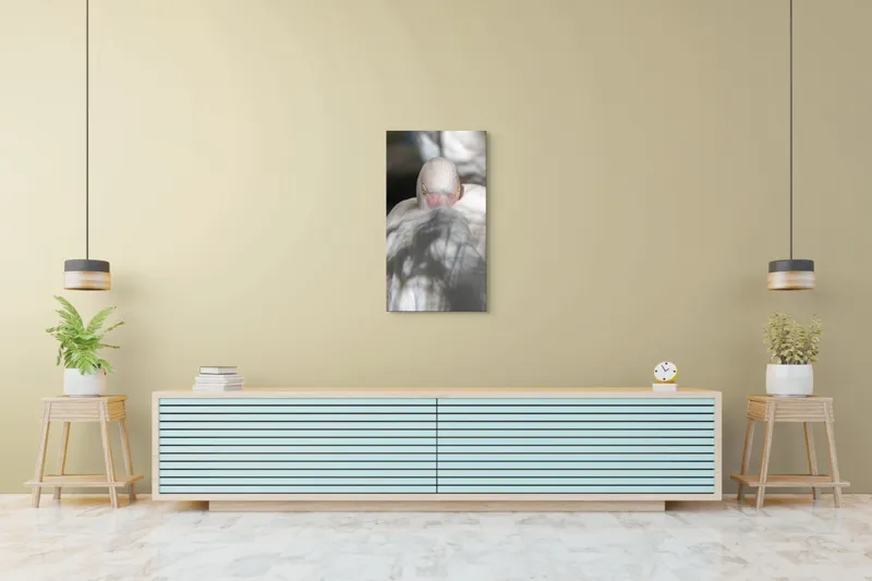 Tablou Canvas, "Pasărea enigmatică în umbra discretă", Pasăre, Albă, Ochi, Blană, Umbră, Detaliu, Textură, Gât, Lumină, Privire, 50 x 90 cm – poza 6