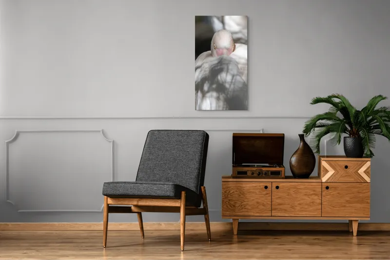 Tablou Canvas, "Pasărea enigmatică în umbra discretă", Pasăre, Albă, Ochi, Blană, Umbră, Detaliu, Textură, Gât, Lumină, Privire, 50 x 90 cm – poza 8