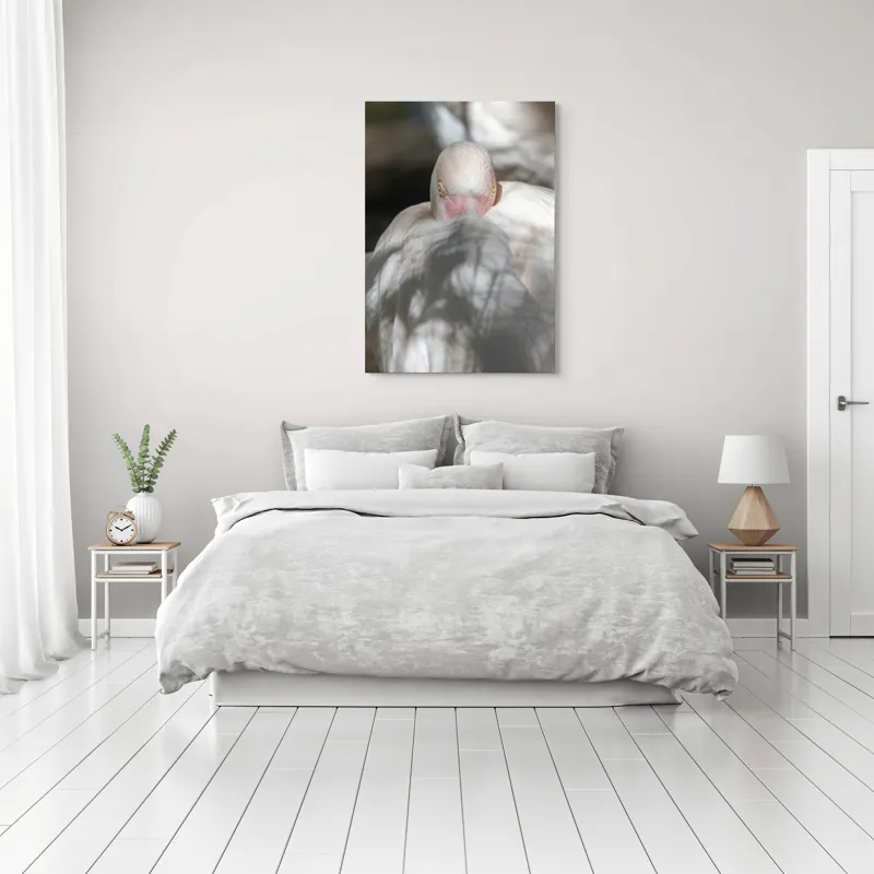 Tablou Canvas, "Pasărea enigmatică în umbra discretă", Pasăre, Albă, Ochi, Blană, Umbră, Detaliu, Textură, Gât, Lumină, Privire, 70 x 100 cm – poza 3