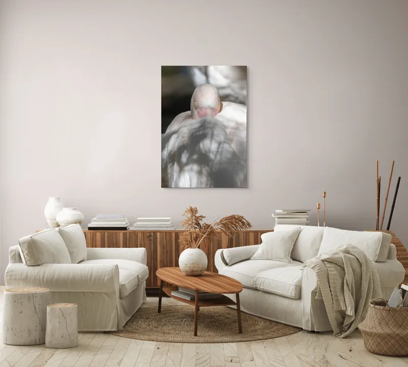 Tablou Canvas, "Pasărea enigmatică în umbra discretă", Pasăre, Albă, Ochi, Blană, Umbră, Detaliu, Textură, Gât, Lumină, Privire, 70 x 100 cm – poza 4