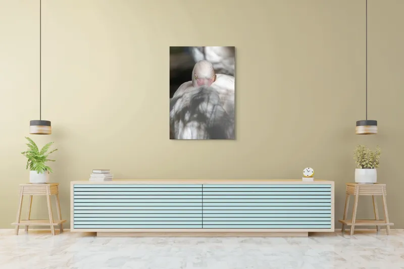 Tablou Canvas, "Pasărea enigmatică în umbra discretă", Pasăre, Albă, Ochi, Blană, Umbră, Detaliu, Textură, Gât, Lumină, Privire, 70 x 100 cm – poza 5