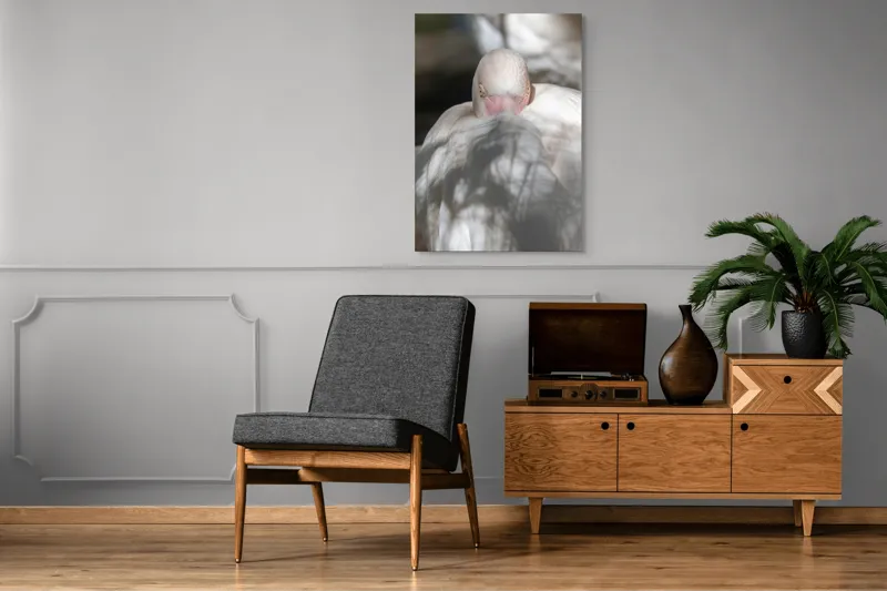Tablou Canvas, "Pasărea enigmatică în umbra discretă", Pasăre, Albă, Ochi, Blană, Umbră, Detaliu, Textură, Gât, Lumină, Privire, 70 x 100 cm – poza 6