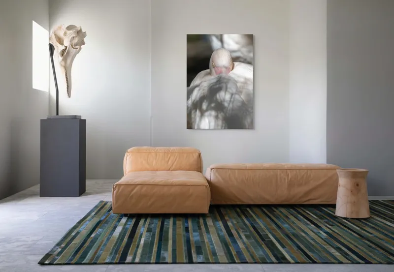Tablou Canvas, "Pasărea enigmatică în umbra discretă", Pasăre, Albă, Ochi, Blană, Umbră, Detaliu, Textură, Gât, Lumină, Privire, 70 x 100 cm – poza 7