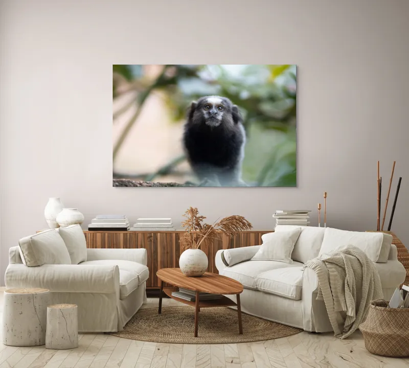 Tablou Canvas, "Maimuță mică în habitat natural", 150 x 100 cm – poza 3