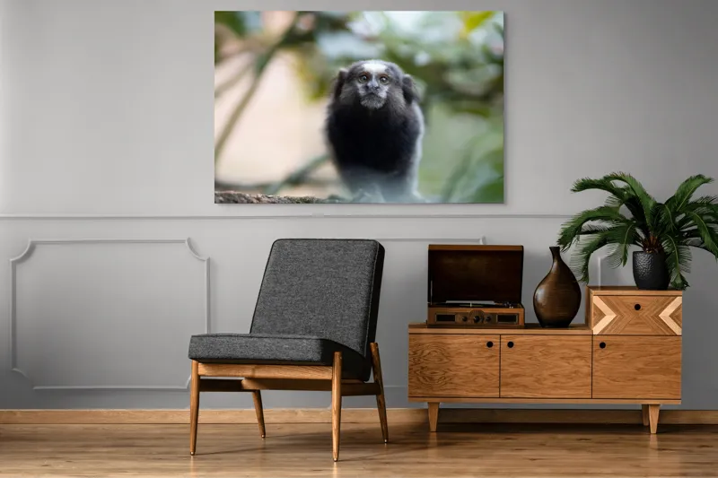 Tablou Canvas, "Maimuță mică în habitat natural", 150 x 100 cm – poza 8