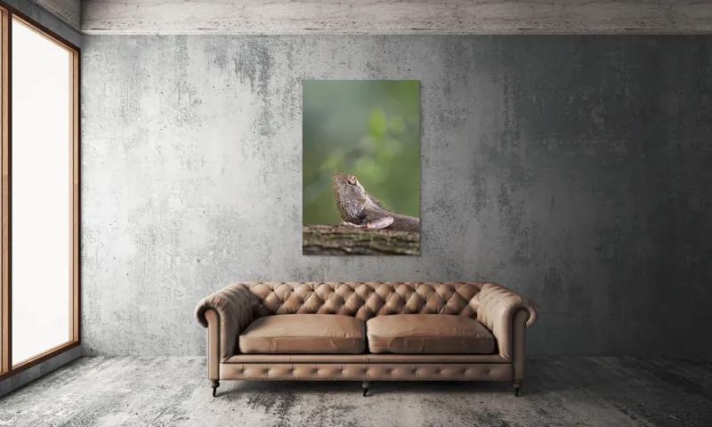 Tablou Canvas, "Șopârlă odihnindu-se pe trunchi verde", Șopârlă, Verde, Textură, Natură, Bokeh, Ramură, Solzi, Echilibru, Obișnuit, Relaxare, 100 x 150 cm – poza 6
