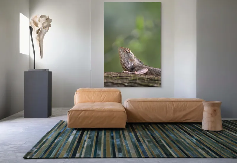 Tablou Canvas, "Șopârlă odihnindu-se pe trunchi verde", Șopârlă, Verde, Textură, Natură, Bokeh, Ramură, Solzi, Echilibru, Obișnuit, Relaxare, 100 x 150 cm – poza 7
