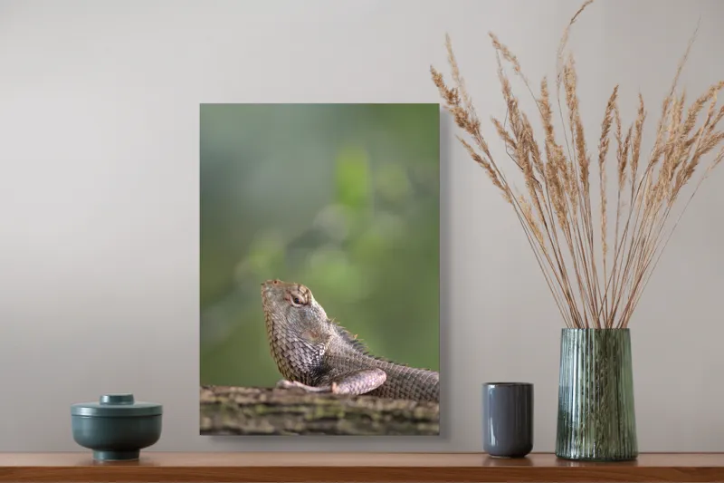 Tablou Canvas, "Șopârlă odihnindu-se pe trunchi verde", Șopârlă, Verde, Textură, Natură, Bokeh, Ramură, Solzi, Echilibru, Obișnuit, Relaxare, 39 x 54 cm – poza 3