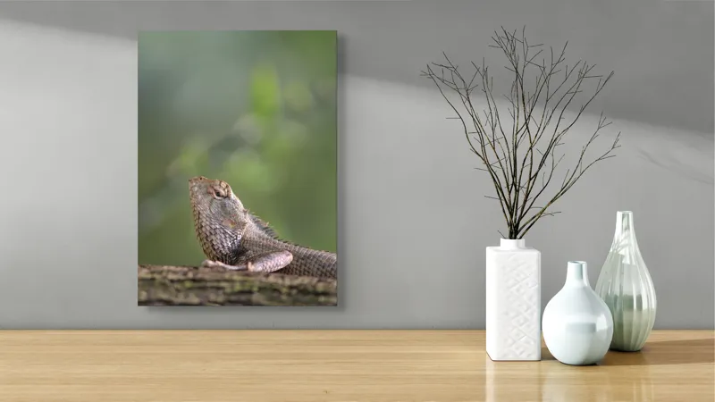 Tablou Canvas, "Șopârlă odihnindu-se pe trunchi verde", Șopârlă, Verde, Textură, Natură, Bokeh, Ramură, Solzi, Echilibru, Obișnuit, Relaxare, 39 x 54 cm – poza 4