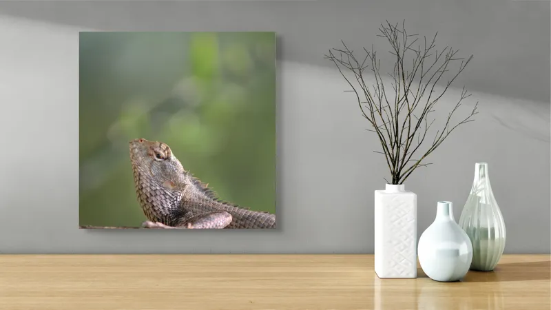 Tablou Canvas, "Șopârlă odihnindu-se pe trunchi verde", Șopârlă, Verde, Textură, Natură, Bokeh, Ramură, Solzi, Echilibru, Obișnuit, Relaxare, 50 x 50 cm – poza 3