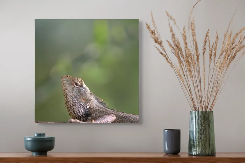 Tablou Canvas, "Șopârlă odihnindu-se pe trunchi verde", Șopârlă, Verde, Textură, Natură, Bokeh, Ramură, Solzi, Echilibru, Obișnuit, Relaxare, 50 x 50 cm – poza 4