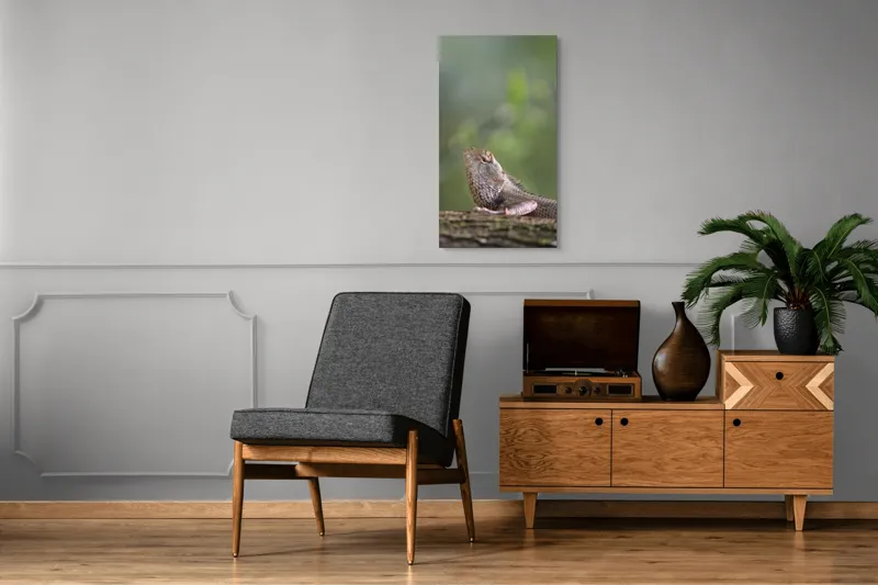 Tablou Canvas, "Șopârlă odihnindu-se pe trunchi verde", Șopârlă, Verde, Textură, Natură, Bokeh, Ramură, Solzi, Echilibru, Obișnuit, Relaxare, 50 x 90 cm – poza 8