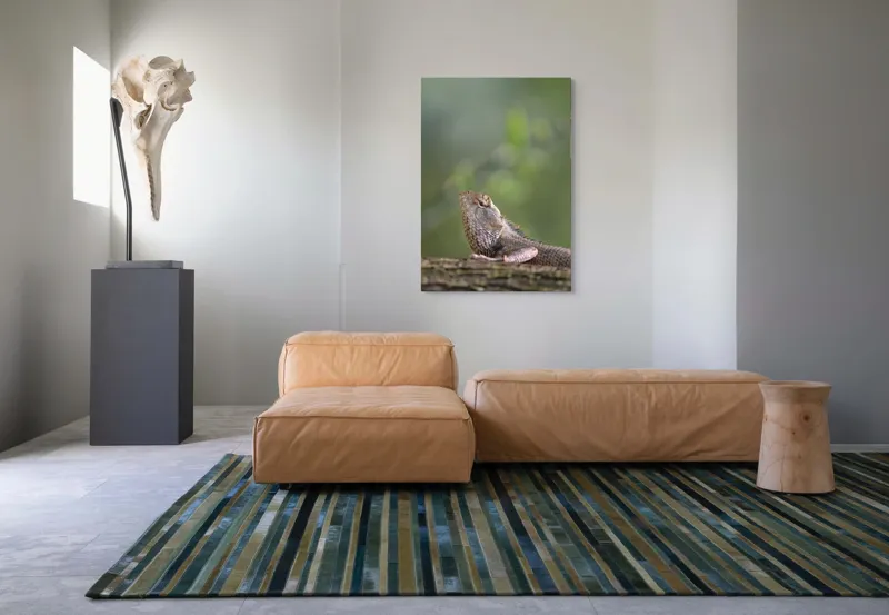 Tablou Canvas, "Șopârlă odihnindu-se pe trunchi verde", Șopârlă, Verde, Textură, Natură, Bokeh, Ramură, Solzi, Echilibru, Obișnuit, Relaxare, 70 x 100 cm – poza 7