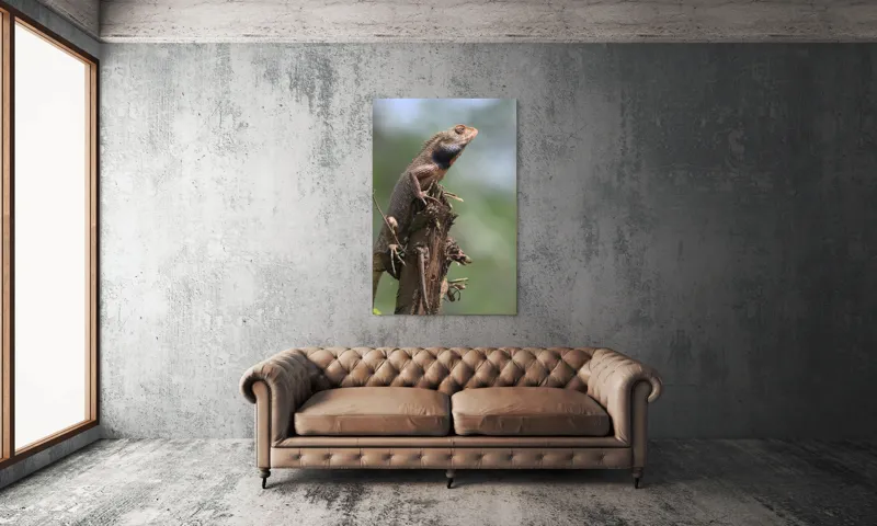 Tablou Canvas, "Șopârlă în așteptarea prăzii", Șopârlă, Creastă, Lemn, Natură, Verdeață, Vigilență, Echilibru, Solitudine, Texturi, Detalii., 100 x 150 cm – poza 6