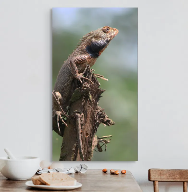 Tablou Canvas, "Șopârlă în așteptarea prăzii", Șopârlă, Creastă, Lemn, Natură, Verdeață, Vigilență, Echilibru, Solitudine, Texturi, Detalii., 50 x 90 cm – poza 3