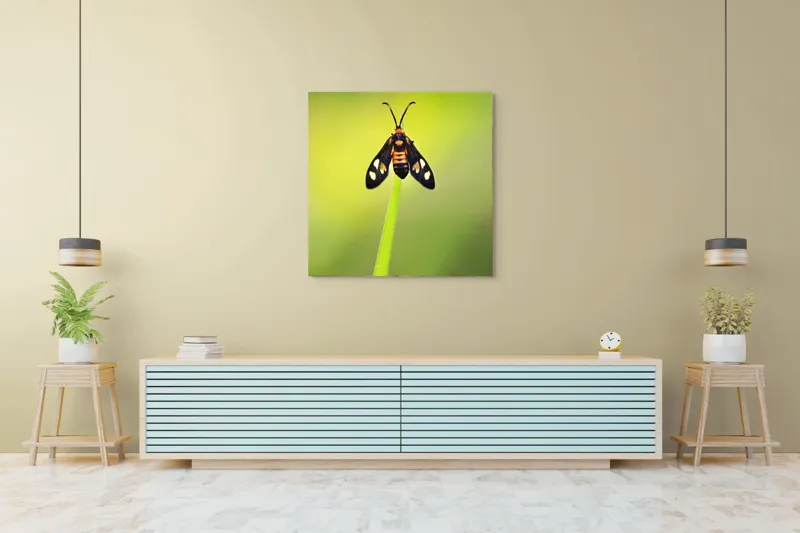 Tablou Canvas, "Fluture așezat pe fir de iarbă", Molie, Culoare, Natura, Fragilitate, Verde, Delicat, Zbor, Contrast, Frumusete, Echilibru, 100 x 100 cm – poza 5