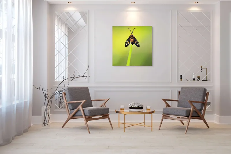 Tablou Canvas, "Fluture așezat pe fir de iarbă", Molie, Culoare, Natura, Fragilitate, Verde, Delicat, Zbor, Contrast, Frumusete, Echilibru, 100 x 100 cm – poza 7