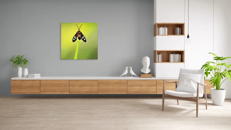 Tablou Canvas, "Fluture așezat pe fir de iarbă", Molie, Culoare, Natura, Fragilitate, Verde, Delicat, Zbor, Contrast, Frumusete, Echilibru, 100 x 100 cm – poza 8