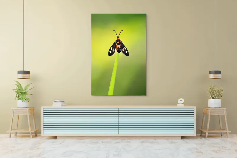 Tablou Canvas, "Fluture așezat pe fir de iarbă", Molie, Culoare, Natura, Fragilitate, Verde, Delicat, Zbor, Contrast, Frumusete, Echilibru, 100 x 150 cm – poza 4