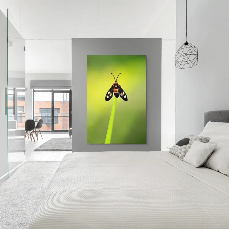 Tablou Canvas, "Fluture așezat pe fir de iarbă", Molie, Culoare, Natura, Fragilitate, Verde, Delicat, Zbor, Contrast, Frumusete, Echilibru, 100 x 150 cm – poza 5
