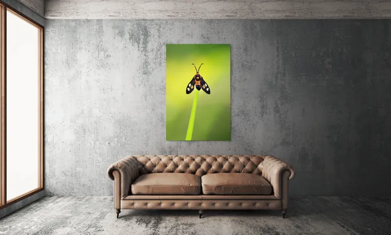 Tablou Canvas, "Fluture așezat pe fir de iarbă", Molie, Culoare, Natura, Fragilitate, Verde, Delicat, Zbor, Contrast, Frumusete, Echilibru, 100 x 150 cm – poza 6