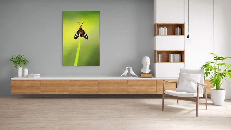 Tablou Canvas, "Fluture așezat pe fir de iarbă", Molie, Culoare, Natura, Fragilitate, Verde, Delicat, Zbor, Contrast, Frumusete, Echilibru, 100 x 150 cm – poza 8