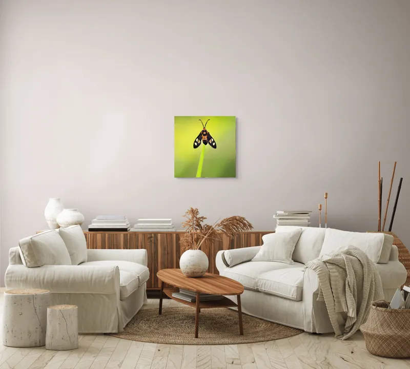 Tablou Canvas, "Fluture așezat pe fir de iarbă", Molie, Culoare, Natura, Fragilitate, Verde, Delicat, Zbor, Contrast, Frumusete, Echilibru, 50 x 50 cm – poza 7
