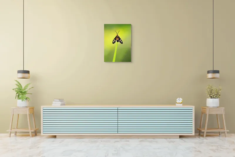 Tablou Canvas, "Fluture așezat pe fir de iarbă", Molie, Culoare, Natura, Fragilitate, Verde, Delicat, Zbor, Contrast, Frumusete, Echilibru, 50 x 70 cm – poza 6