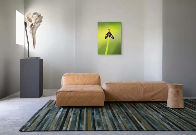 Tablou Canvas, "Fluture așezat pe fir de iarbă", Molie, Culoare, Natura, Fragilitate, Verde, Delicat, Zbor, Contrast, Frumusete, Echilibru, 50 x 70 cm – poza 7