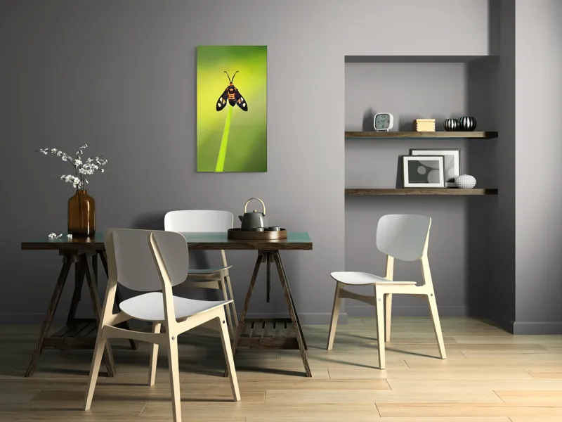 Tablou Canvas, "Fluture așezat pe fir de iarbă", Molie, Culoare, Natura, Fragilitate, Verde, Delicat, Zbor, Contrast, Frumusete, Echilibru, 50 x 90 cm – poza 4