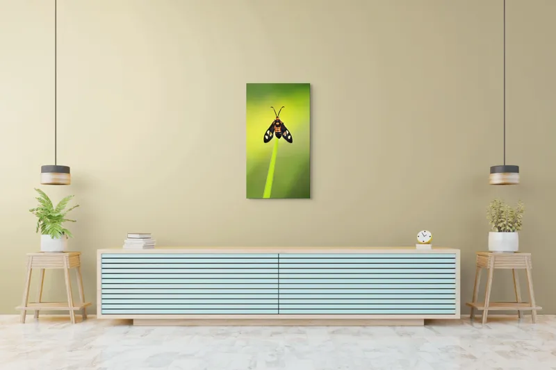Tablou Canvas, "Fluture așezat pe fir de iarbă", Molie, Culoare, Natura, Fragilitate, Verde, Delicat, Zbor, Contrast, Frumusete, Echilibru, 50 x 90 cm – poza 6