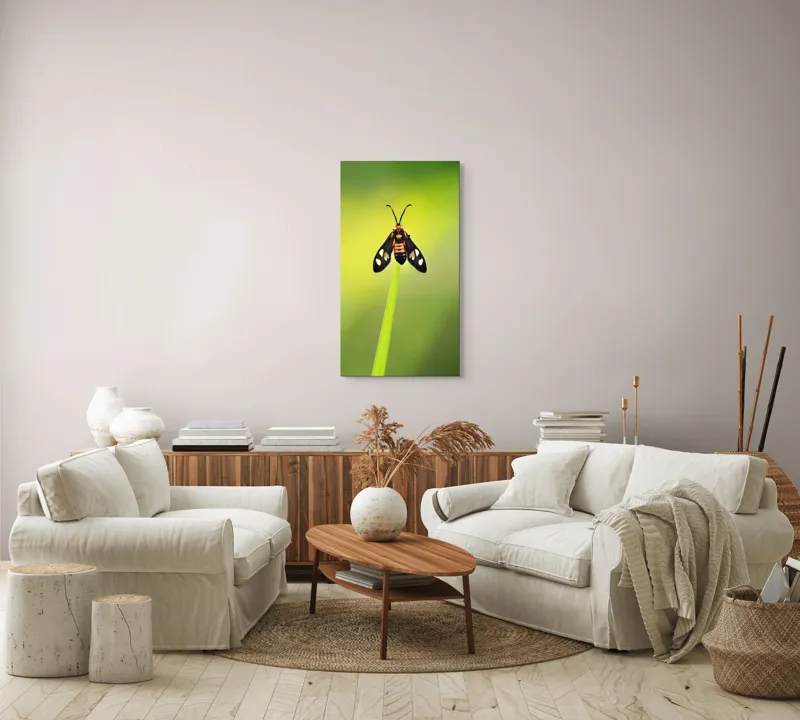 Tablou Canvas, "Fluture așezat pe fir de iarbă", Molie, Culoare, Natura, Fragilitate, Verde, Delicat, Zbor, Contrast, Frumusete, Echilibru, 50 x 90 cm – poza 7