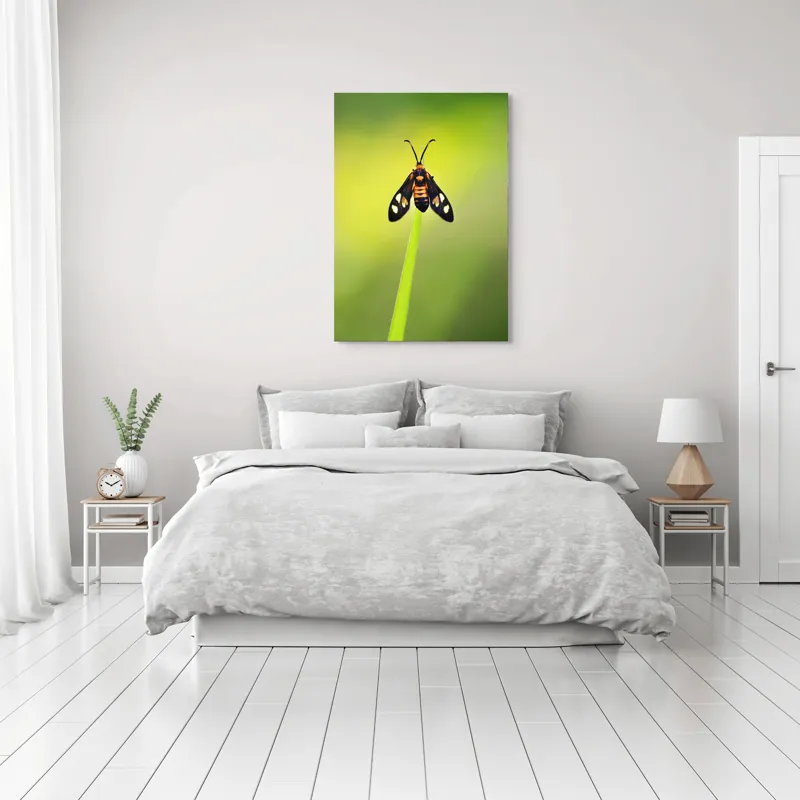Tablou Canvas, "Fluture așezat pe fir de iarbă", Molie, Culoare, Natura, Fragilitate, Verde, Delicat, Zbor, Contrast, Frumusete, Echilibru, 70 x 100 cm – poza 3