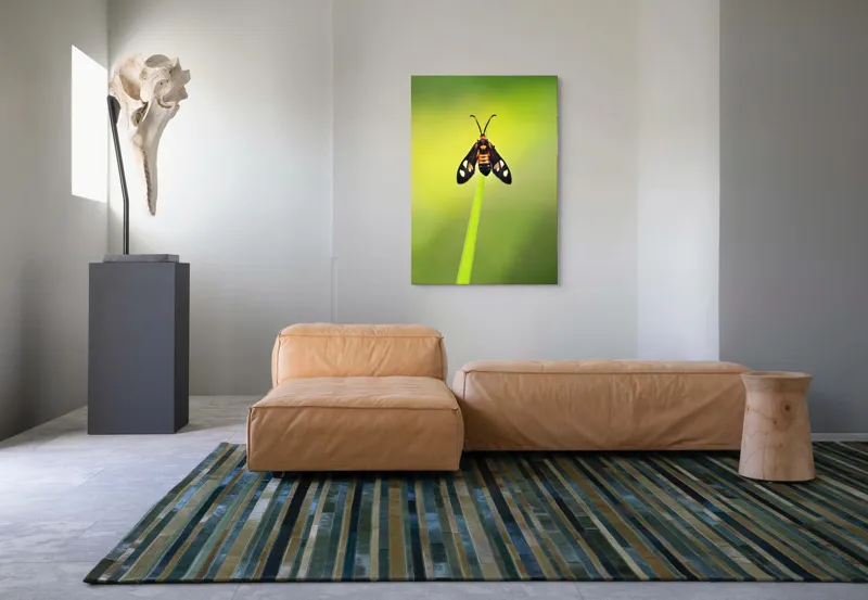 Tablou Canvas, "Fluture așezat pe fir de iarbă", Molie, Culoare, Natura, Fragilitate, Verde, Delicat, Zbor, Contrast, Frumusete, Echilibru, 70 x 100 cm – poza 7